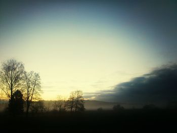 Bare trees on landscape at sunset