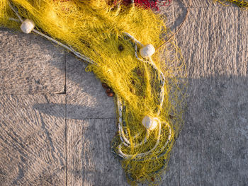 High angle view of leaf on wood