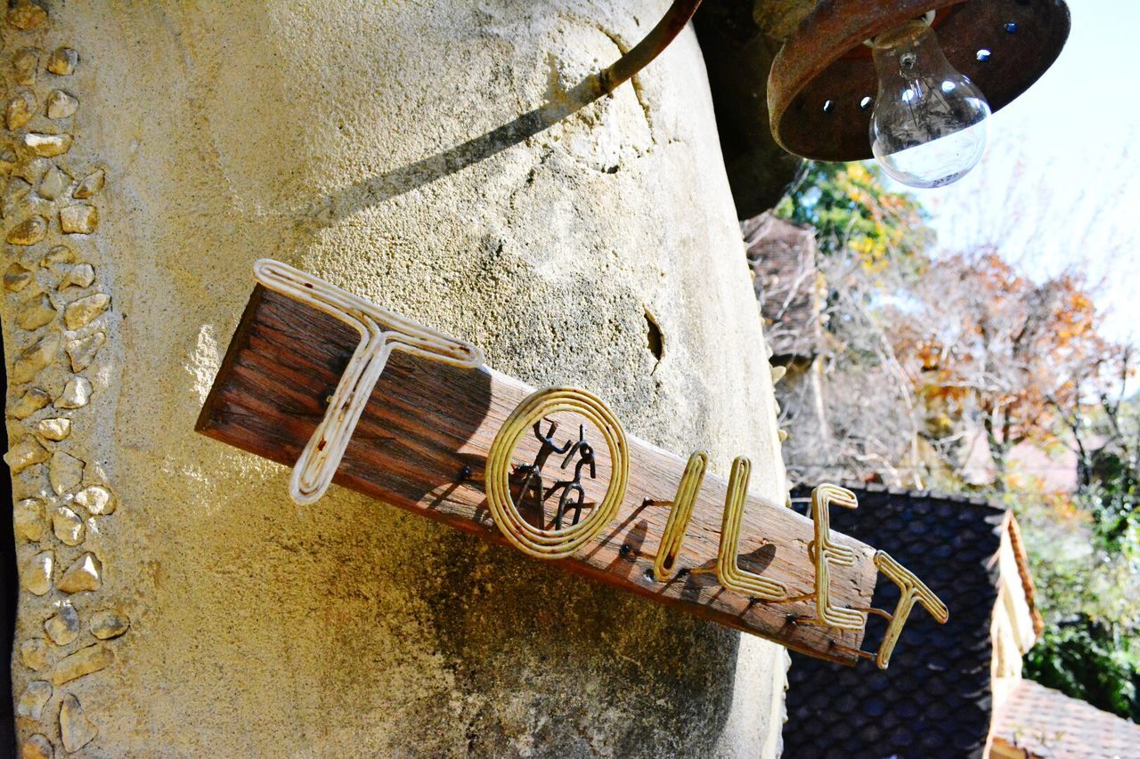 day, music, no people, musical instrument, nature, outdoors, close-up, plant, musical equipment, arts culture and entertainment, time, wood - material, focus on foreground, built structure, sunlight, still life, high angle view, wall - building feature, clock