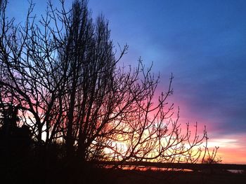 Silhouette tree against sky during sunset