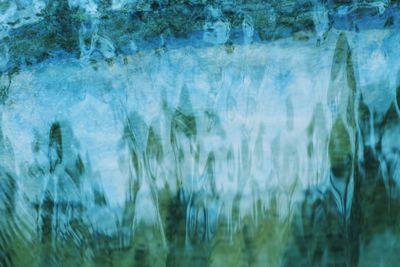 Full frame shot of plants in sea