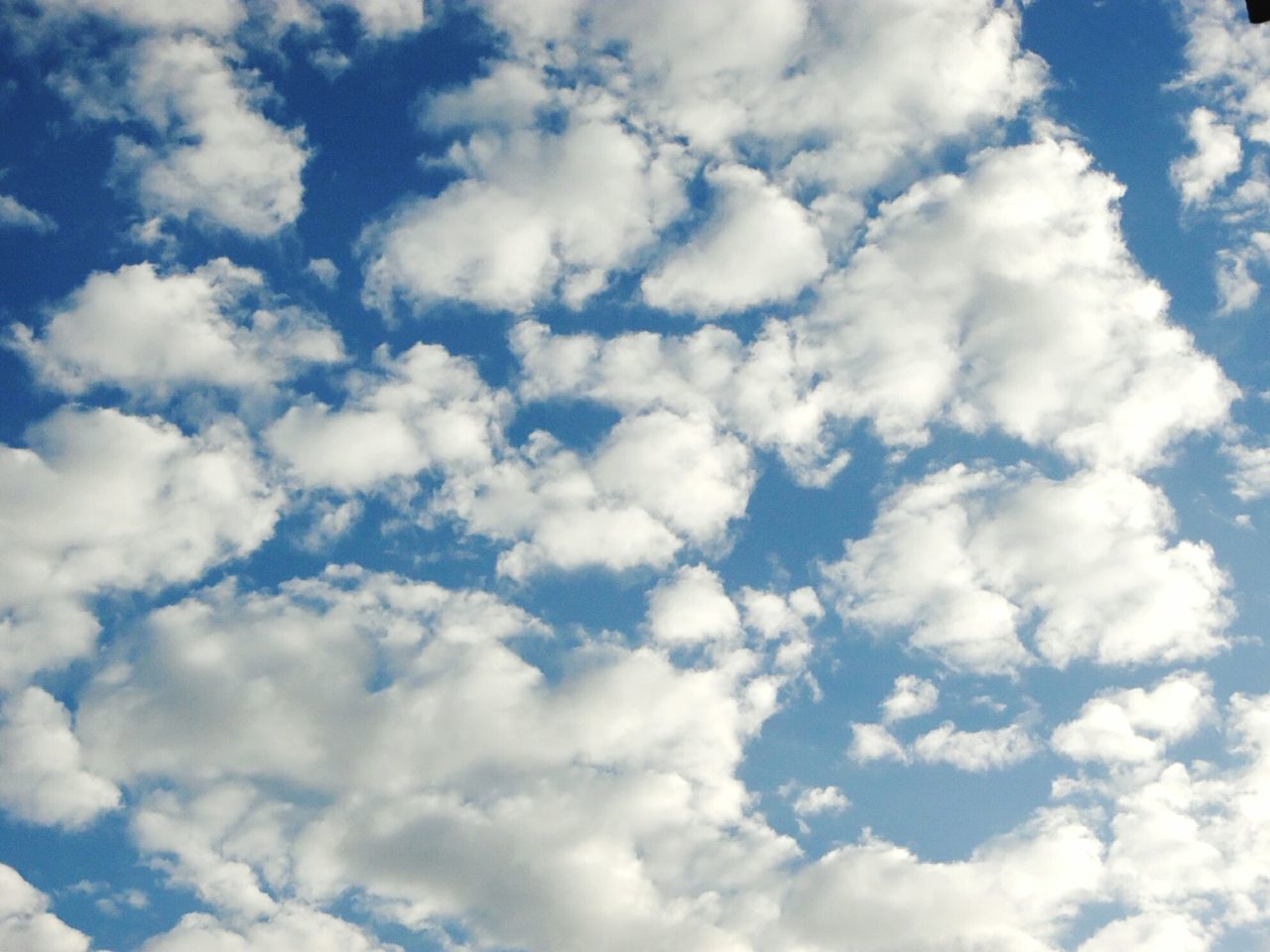 sky, cloud - sky, beauty in nature, tranquility, white color, scenics, tranquil scene, sky only, nature, cloudscape, backgrounds, cloudy, low angle view, blue, cloud, white, fluffy, full frame, idyllic, day