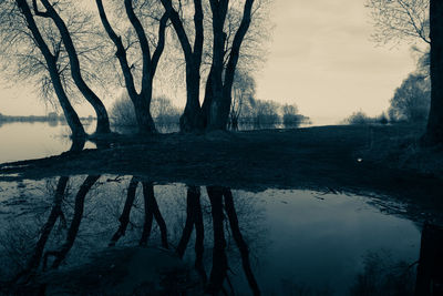 Reflection of trees in lake against sky