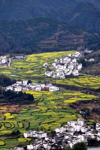 High angle view of houses in village