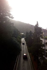 Road passing through trees