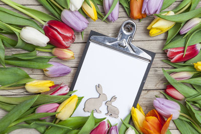 High angle view of clipboard amidst tulips on table