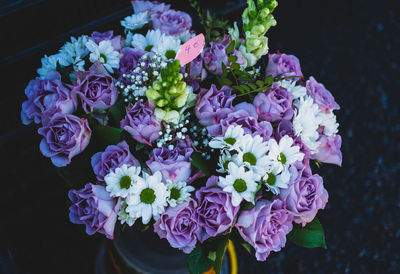 Close-up of pink flowers