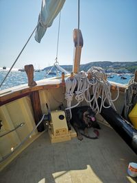 Sailboats in sea against clear sky