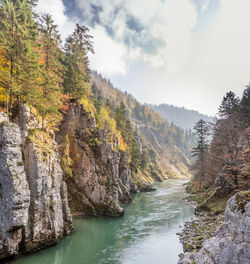 Scenic view of river amidst trees against sky