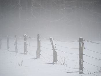 Scenic view of snow covered field