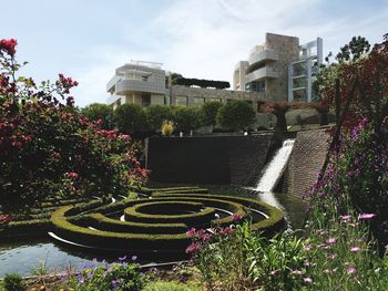 View of flowers growing in park