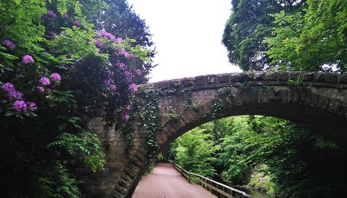Footpath leading to bridge
