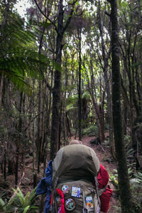 Rear view of a man on the road