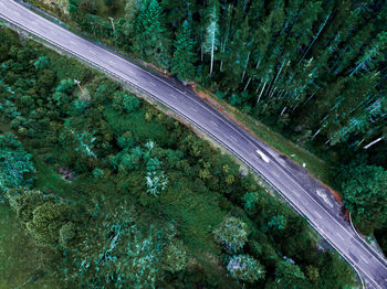 Aerial view of road amidst forest