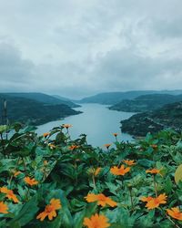 Scenic view of mountains against sky