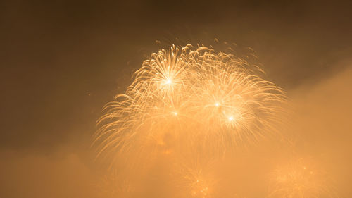 Low angle view of firework display at night