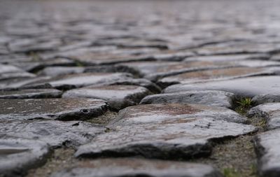 Close-up of wet cobblestone during rainy season