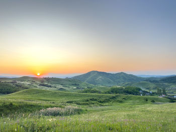 landscape