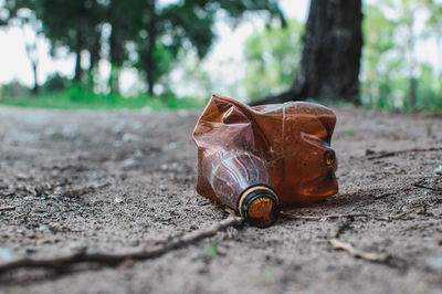 Close-up of abandoned bottle on field