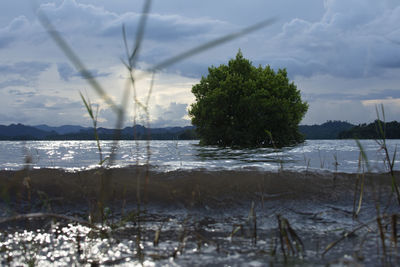 Scenic view of lake against sky