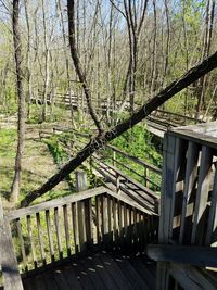 Wooden fence with trees in background