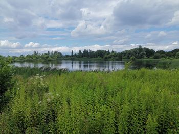 Scenic view of lake against sky