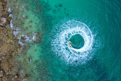 High angle view of turtle in sea