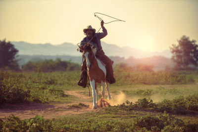 View of a horse on field during sunset