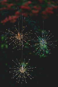 Firework display at night