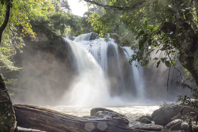 Scenic view of waterfall in forest