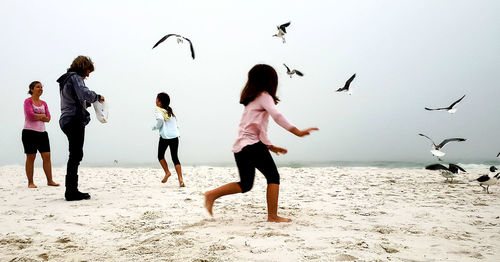 Low angle view of seagulls flying over beach