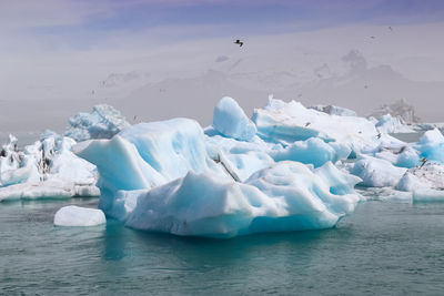 Iceland, jokulsarlon lagoon, turquoise icebergs floating in glacier lagoon on iceland