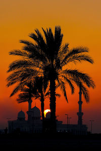 Silhouette palm trees at sunset