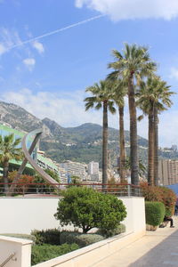 Palm trees in city against sky