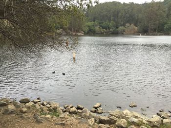 Scenic view of lake