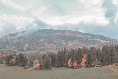 Scenic view of trees and mountains against sky