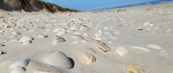 Close-up of pebbles on sand at beach against sky