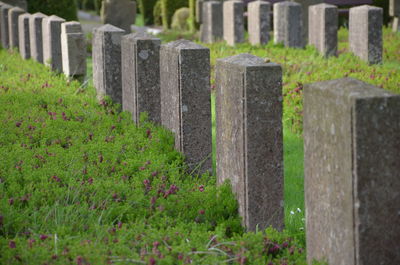 Close-up of cemetery