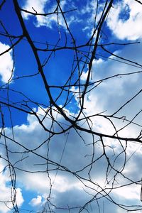 Low angle view of bare tree against blue sky