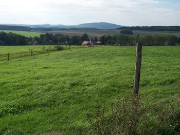 Scenic view of field against sky