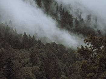 High angle view of waterfall in forest against sky