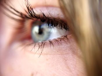 Close-up of woman eye