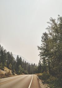 Empty road along trees and plants against sky