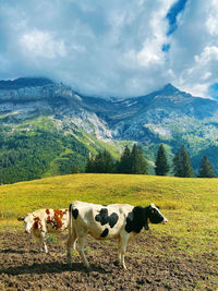 View of cows on landscape