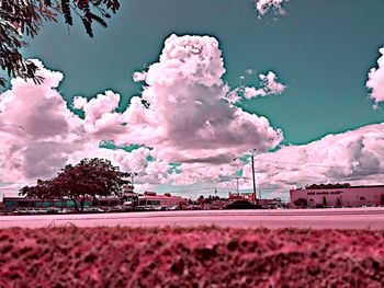 Trees against sky