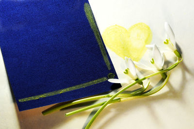 Close-up of flower bouquet