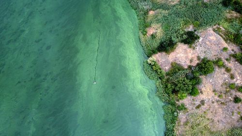 High angle view of tree trunk by sea