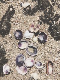 High angle view of objects on beach