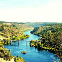 High angle view of calm river along plants