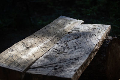 High angle view of tree stump in forest